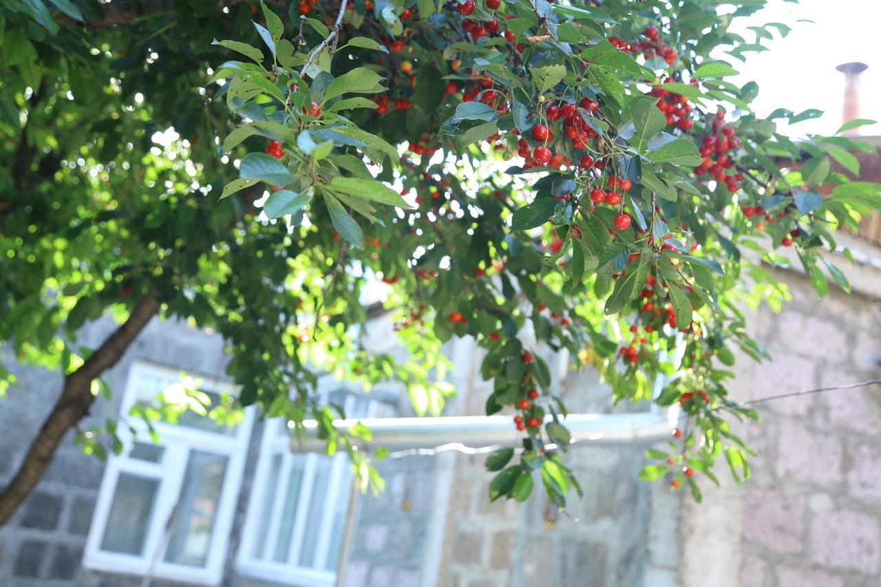 Guest House David'S B&B Gyumri Eksteriør bilde